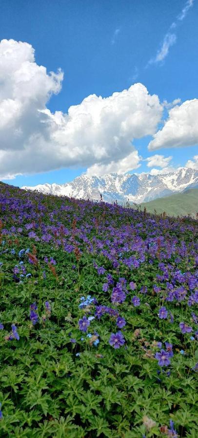 Ushguli Hotel Riho Kültér fotó