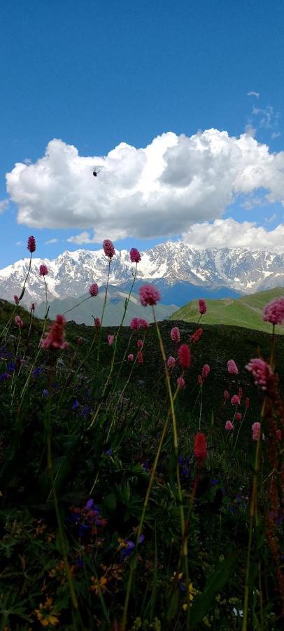 Ushguli Hotel Riho Kültér fotó